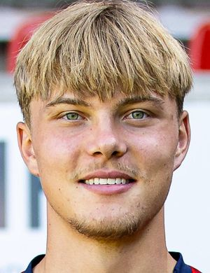 Ротвайлер, Ник