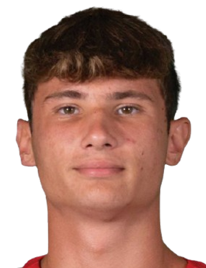 Нагрудный, Владислав