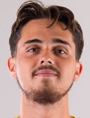 Брюйер, Тео