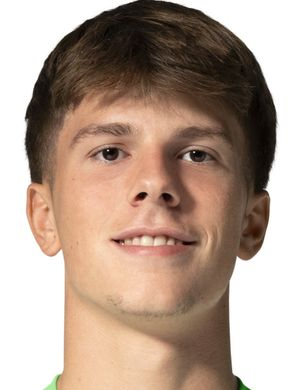 Бартль, Яннис