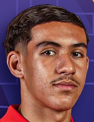 Дубал, Анис