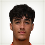 Спинелли, Давид