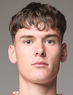 Шнитцер, Тим