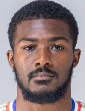 Мэйтленд-Найлз, Энсли