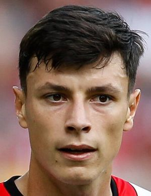 Ахмедходжич, Анел