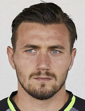 Димитриевски, Столе