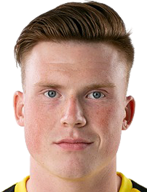 Гойло, Никита